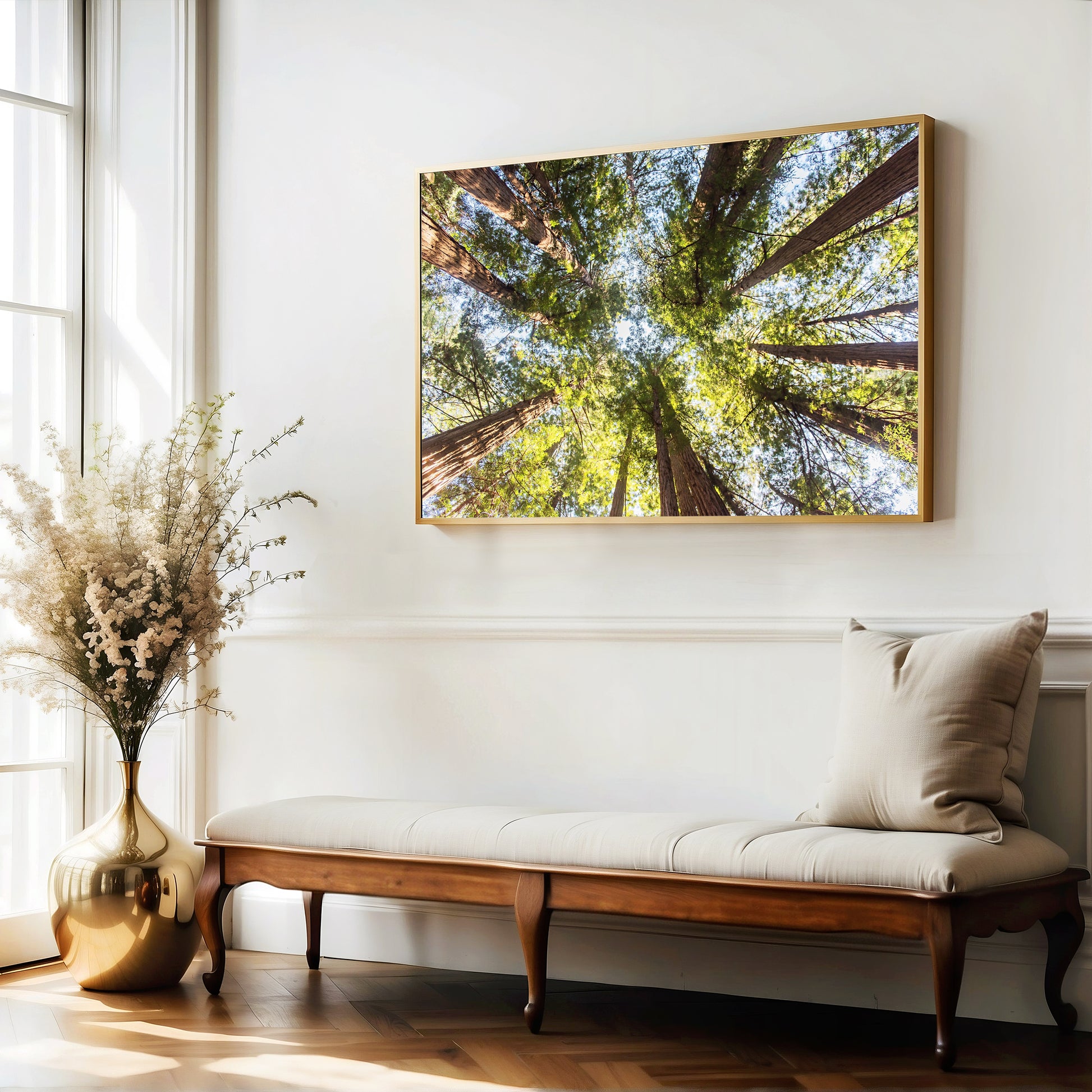 Redwood Forest Print | Muir Woods Canvas | 17 Mile