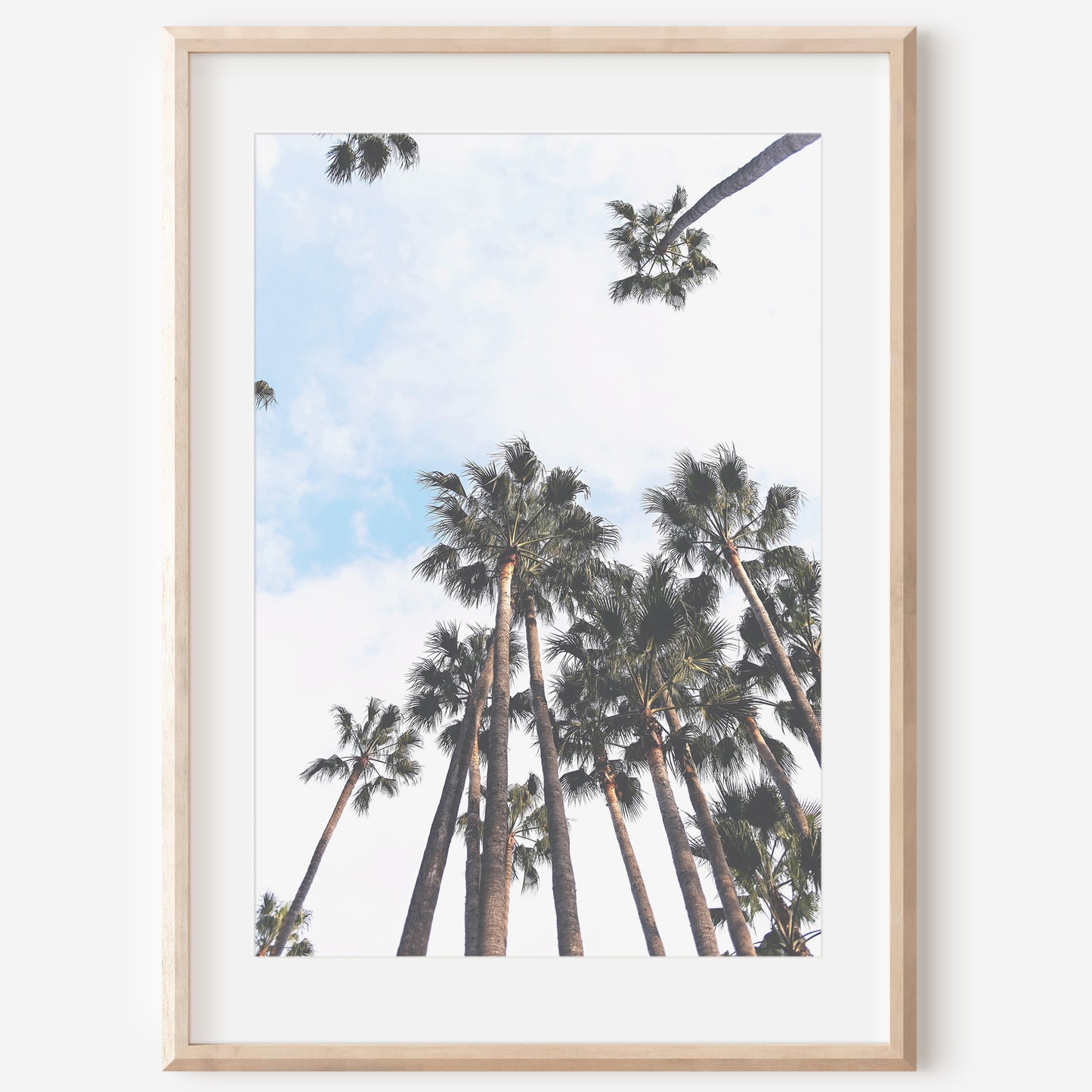 Palm Trees Wall Canvas | Wall Decor Canvas | 17 Mile