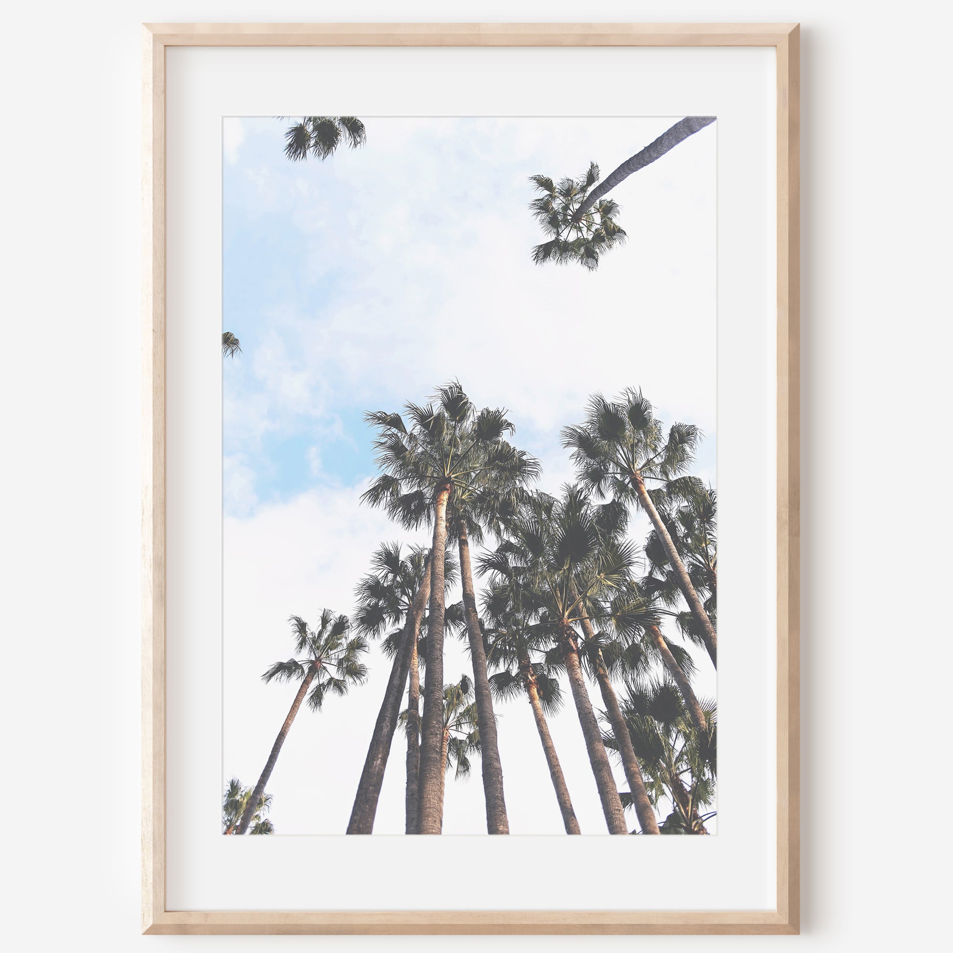 Palm Trees Wall Canvas | Wall Decor Canvas | 17 Mile