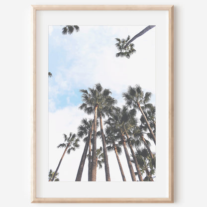 Palm Trees Wall Canvas | Wall Decor Canvas | 17 Mile