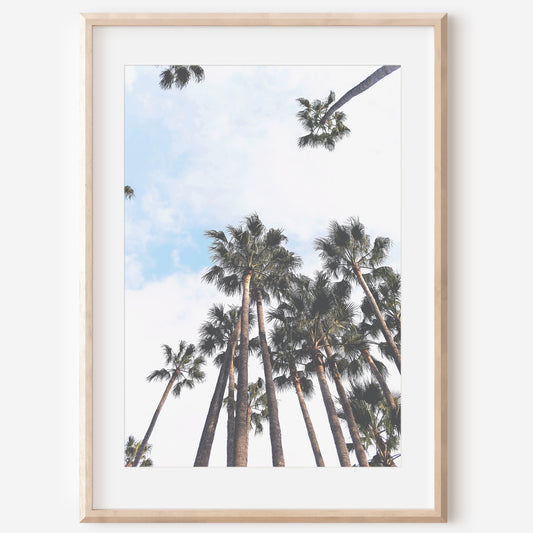 Palm Trees Wall Canvas | Wall Decor Canvas | 17 Mile