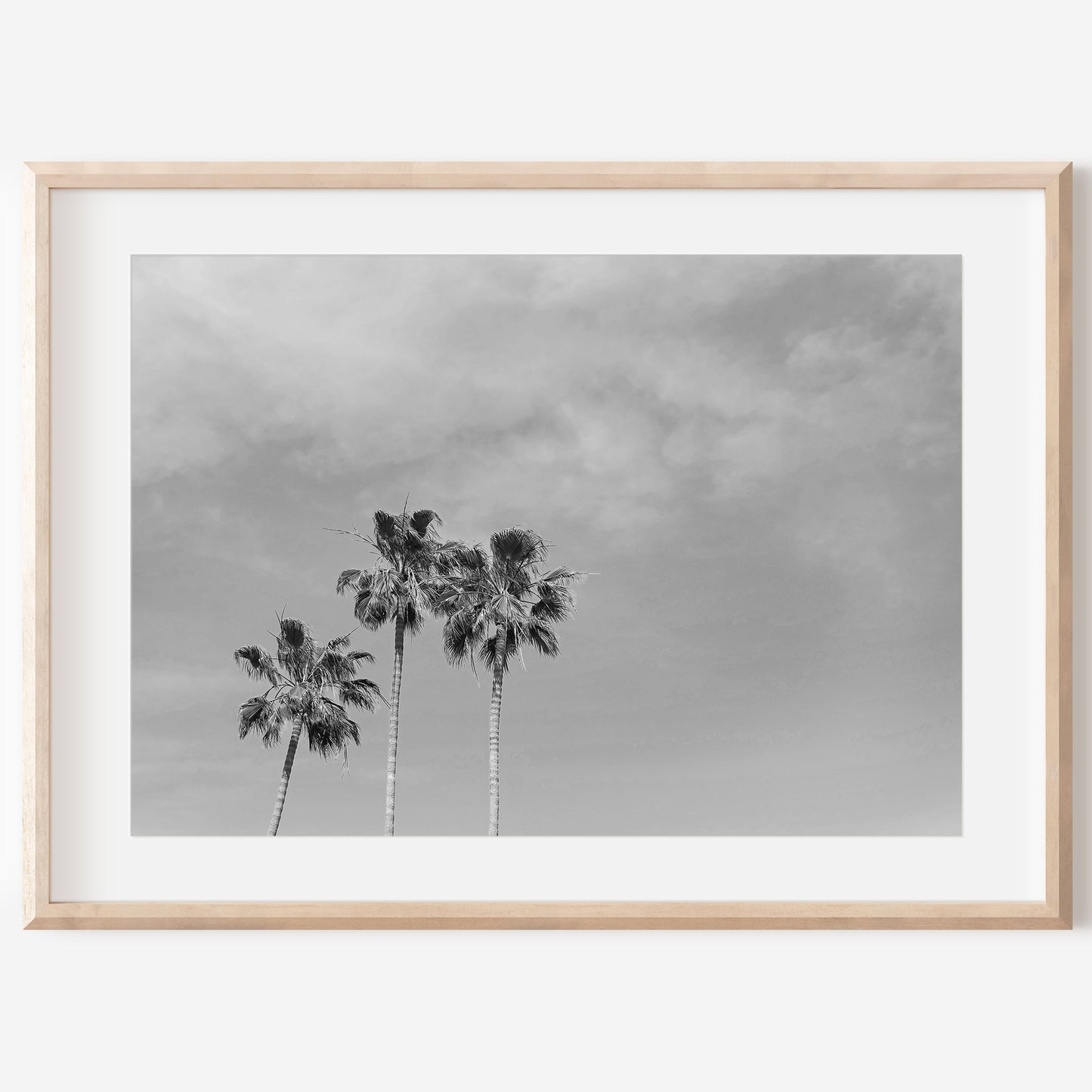 Black and White Palm Print | Black and White Palm Art | 17 Mile