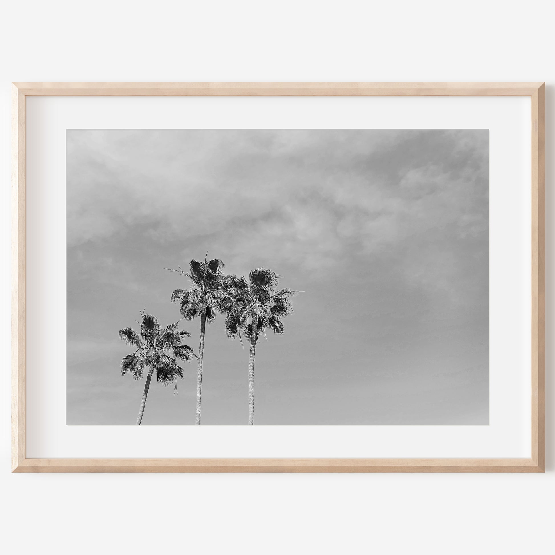 Black and White Palm Print | Black and White Palm Art | 17 Mile