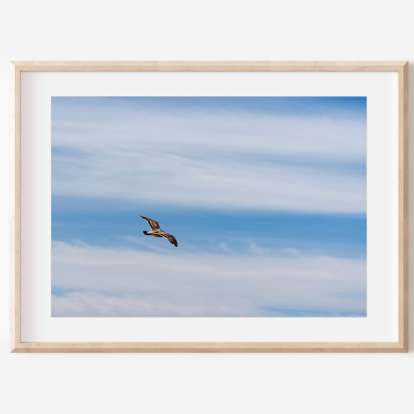 Flying Bird Print | Bird Wall Decor | 17 Mile
