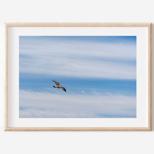 Flying Bird Print | Bird Wall Decor | 17 Mile