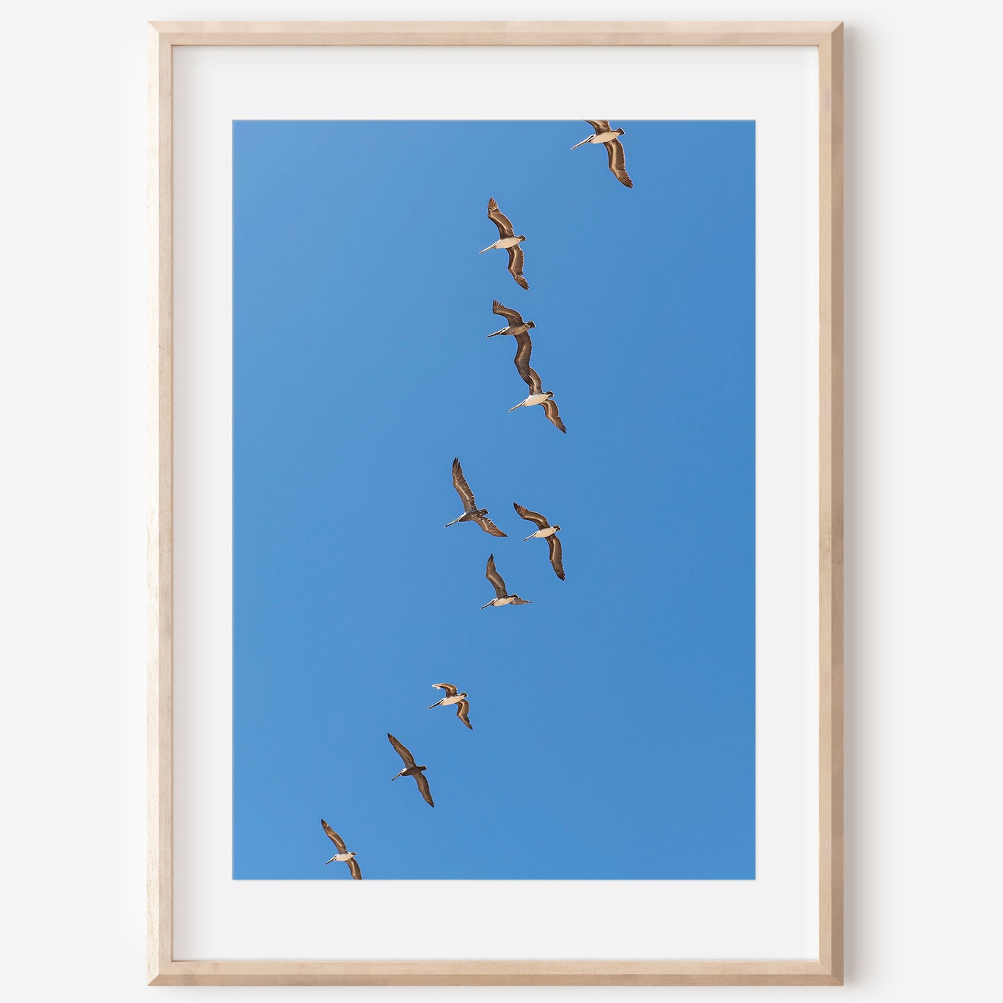 Flying Birds Canvas | Flying Birds Print | 17 Mile