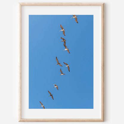 Flying Birds Canvas | Flying Birds Print | 17 Mile