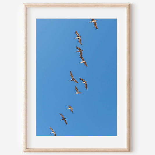 Flying Birds Canvas | Flying Birds Print | 17 Mile