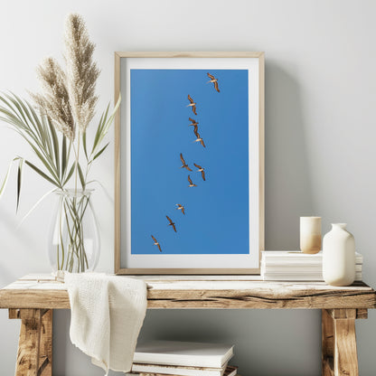 Flying Birds Canvas | Flying Birds Print | 17 Mile