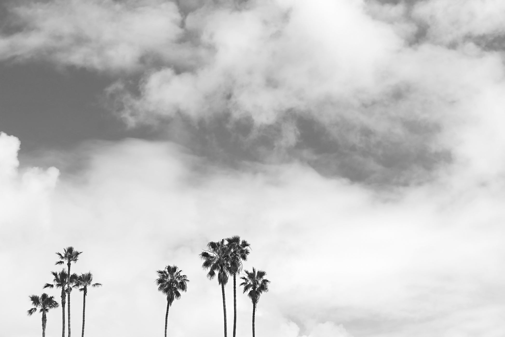 Black and White Canvas | Print Canvas | 17 Mile