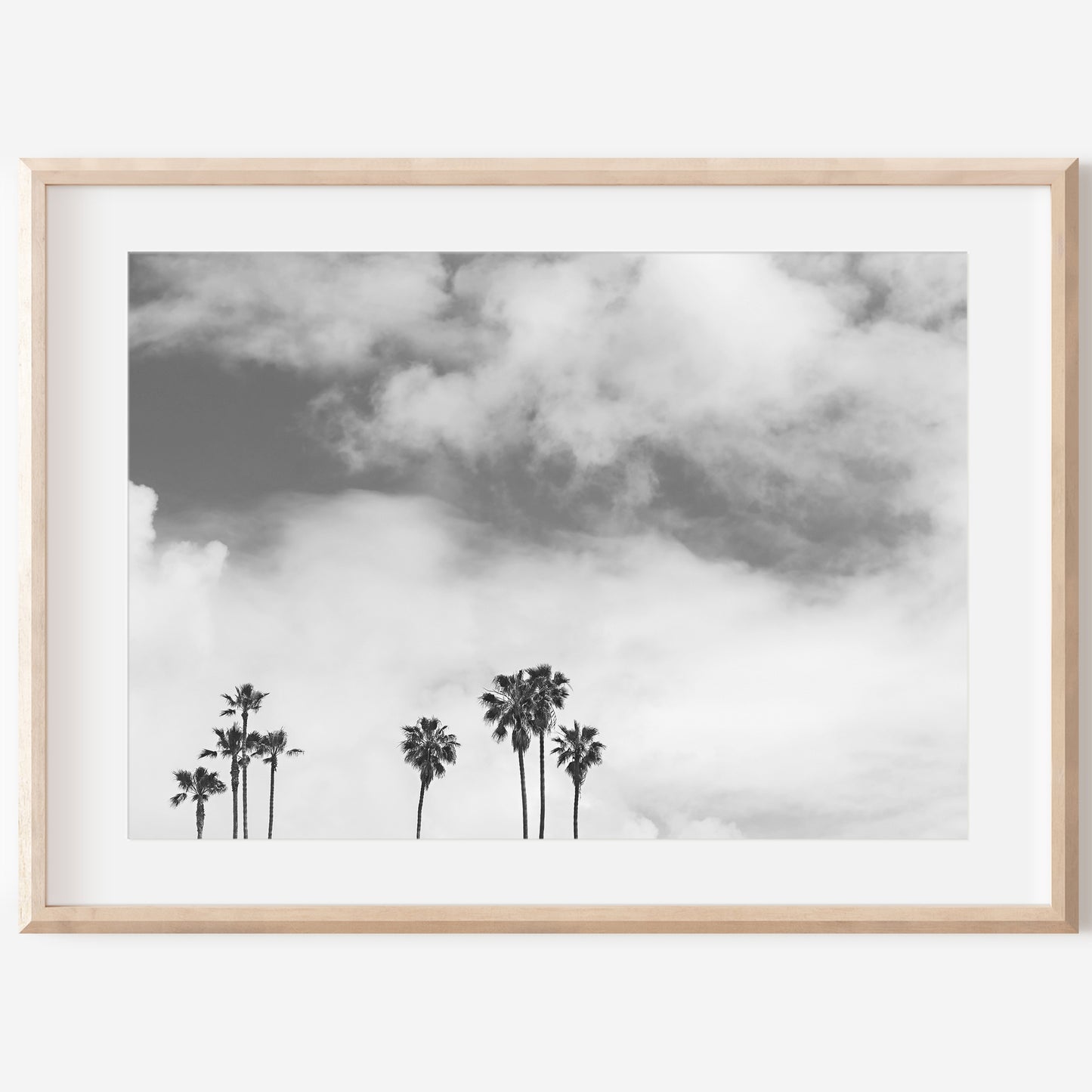 Black and White Canvas | Print Canvas | 17 Mile
