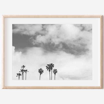 Black and White Canvas | Print Canvas | 17 Mile