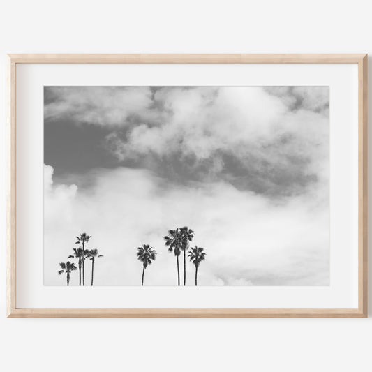 Black and White Canvas | Print Canvas | 17 Mile
