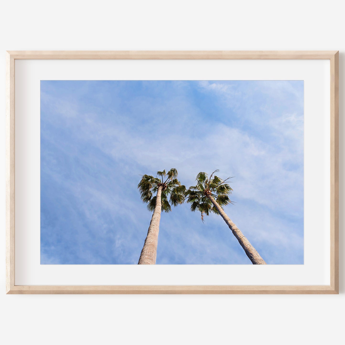 Twin Palm Tree Print | Best Wall Decor | 17 Mile