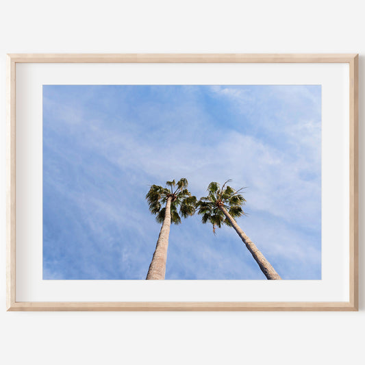 Twin Palm Tree Print | Best Wall Decor | 17 Mile