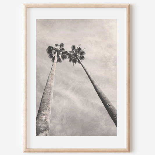 Palm Trees Canvas | Black and White Canvas | 17 Mile