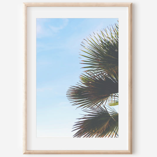 Newport Beach Canvas | Palm Leaves Print | 17 Mile
