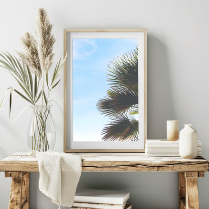 Palm Leaves Print