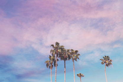 Pastel Palm Canvas | Pastel Palm Tree Art | 17 Mile