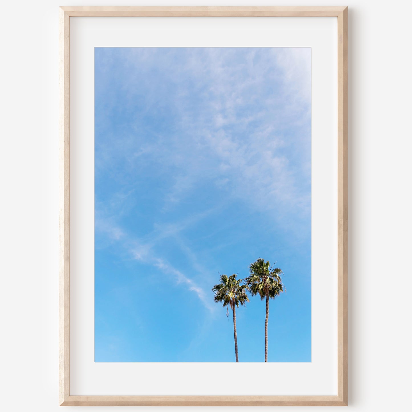 Beach Palm Canvas | Palm Tree Print | 17 Mile