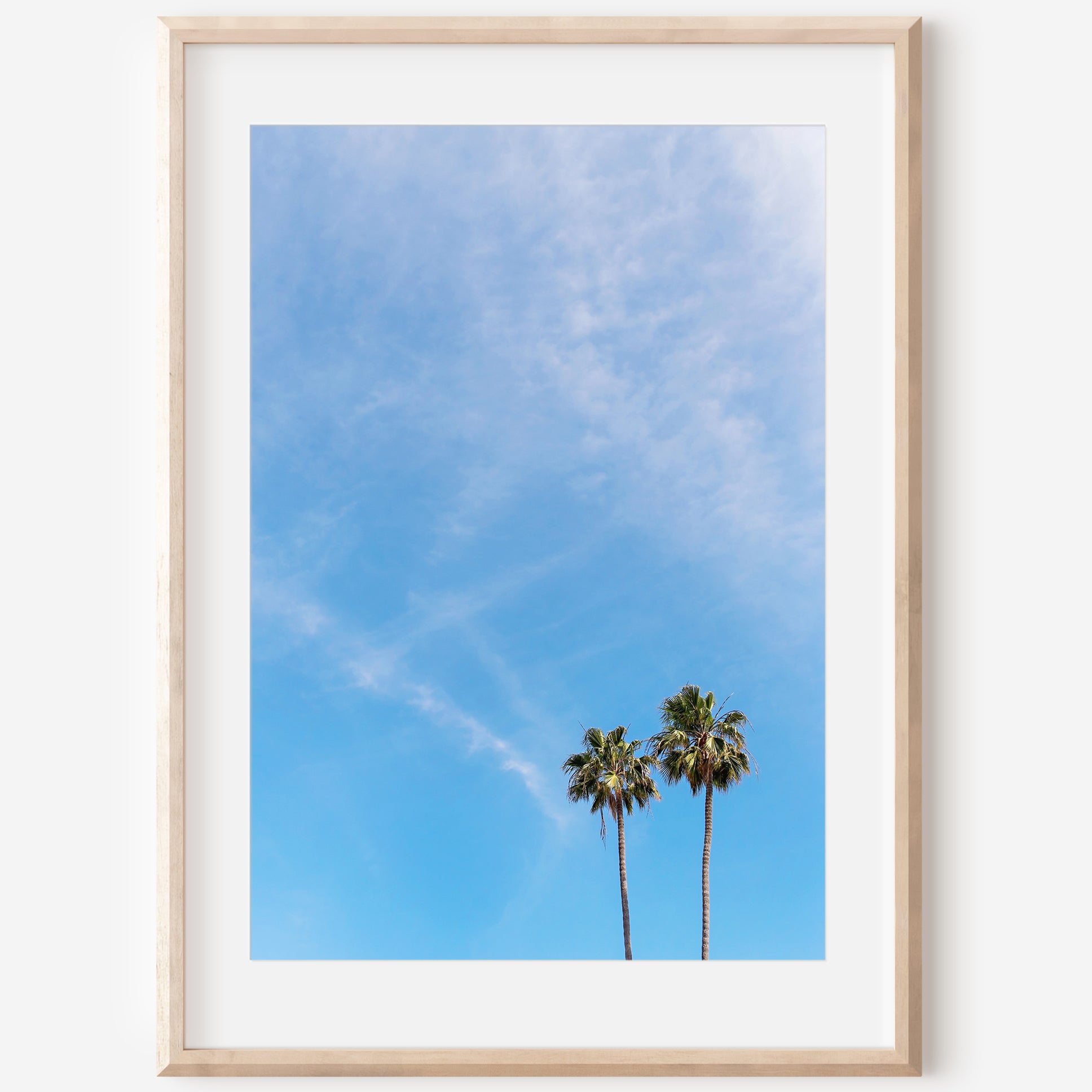 Beach Palm Canvas | Palm Tree Print | 17 Mile