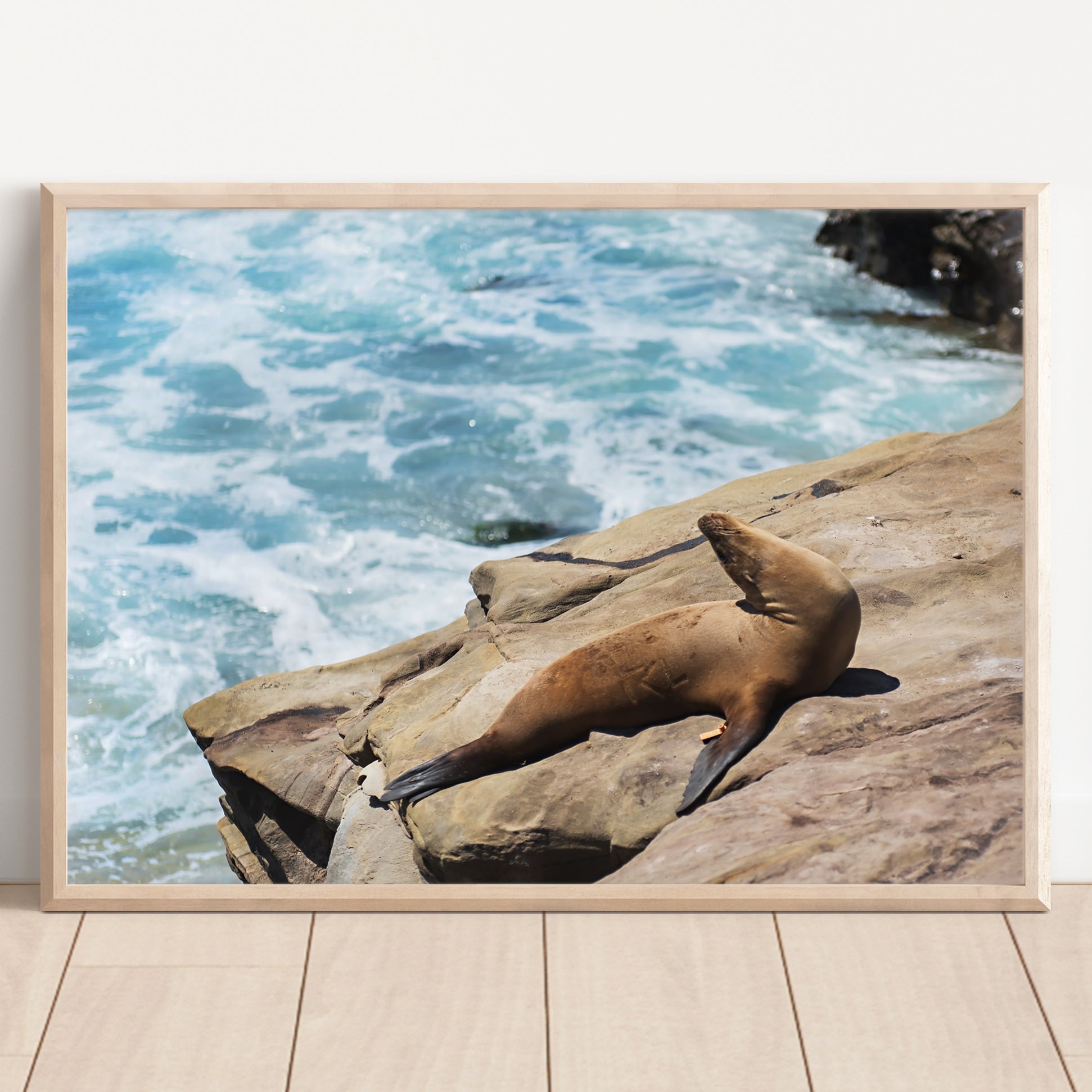 Sea Lion Print | Ocean Wildlife Poster | 17 Mile