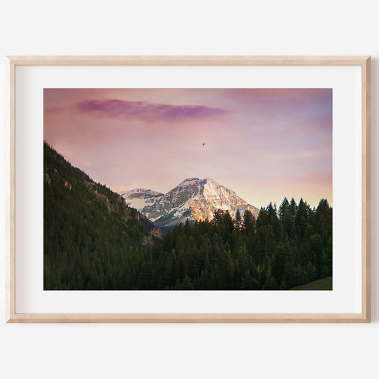 Mt. Timpanogos Mountain Canvas | Mt. Timpanogos Mountain Print | 17 Mile