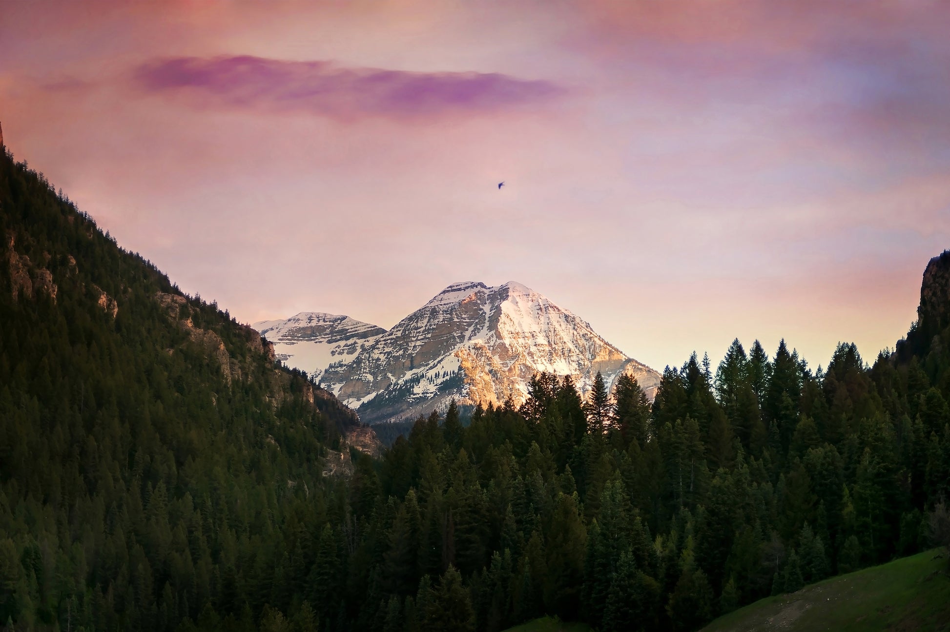 Mt. Timpanogos Mountain Canvas | Mt. Timpanogos Mountain Print | 17 Mile