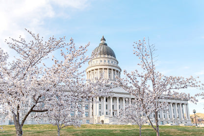 Utah State Capitol Print | Utah State Capitol Canvas | 17 Mile