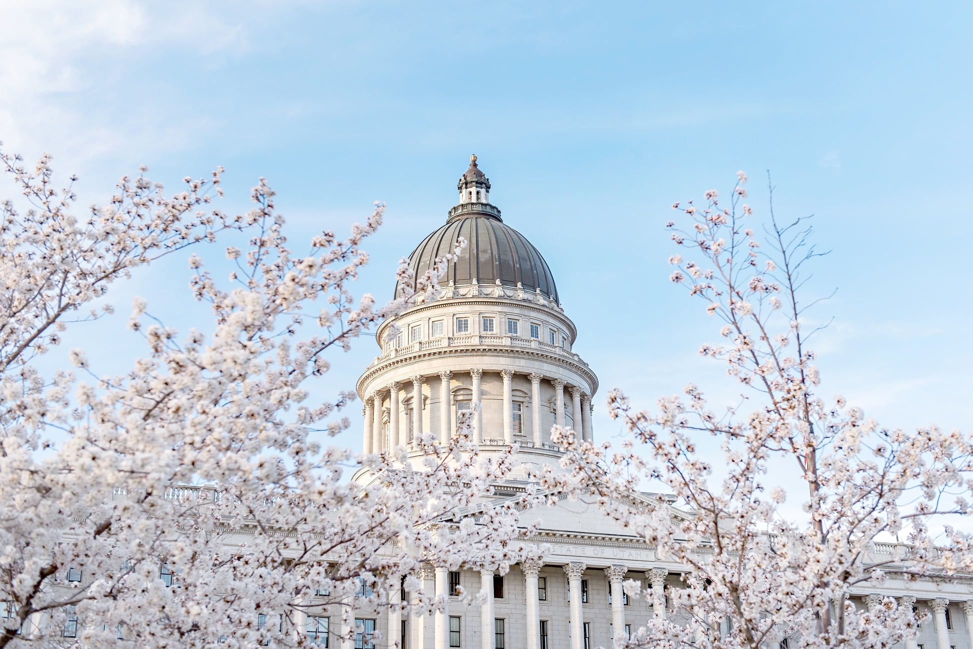 Utah Capital Canvas | Utah Capitol Spring Canvas | 17 Mile