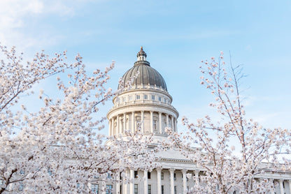 Utah Capital Canvas | Utah Capitol Spring Canvas | 17 Mile