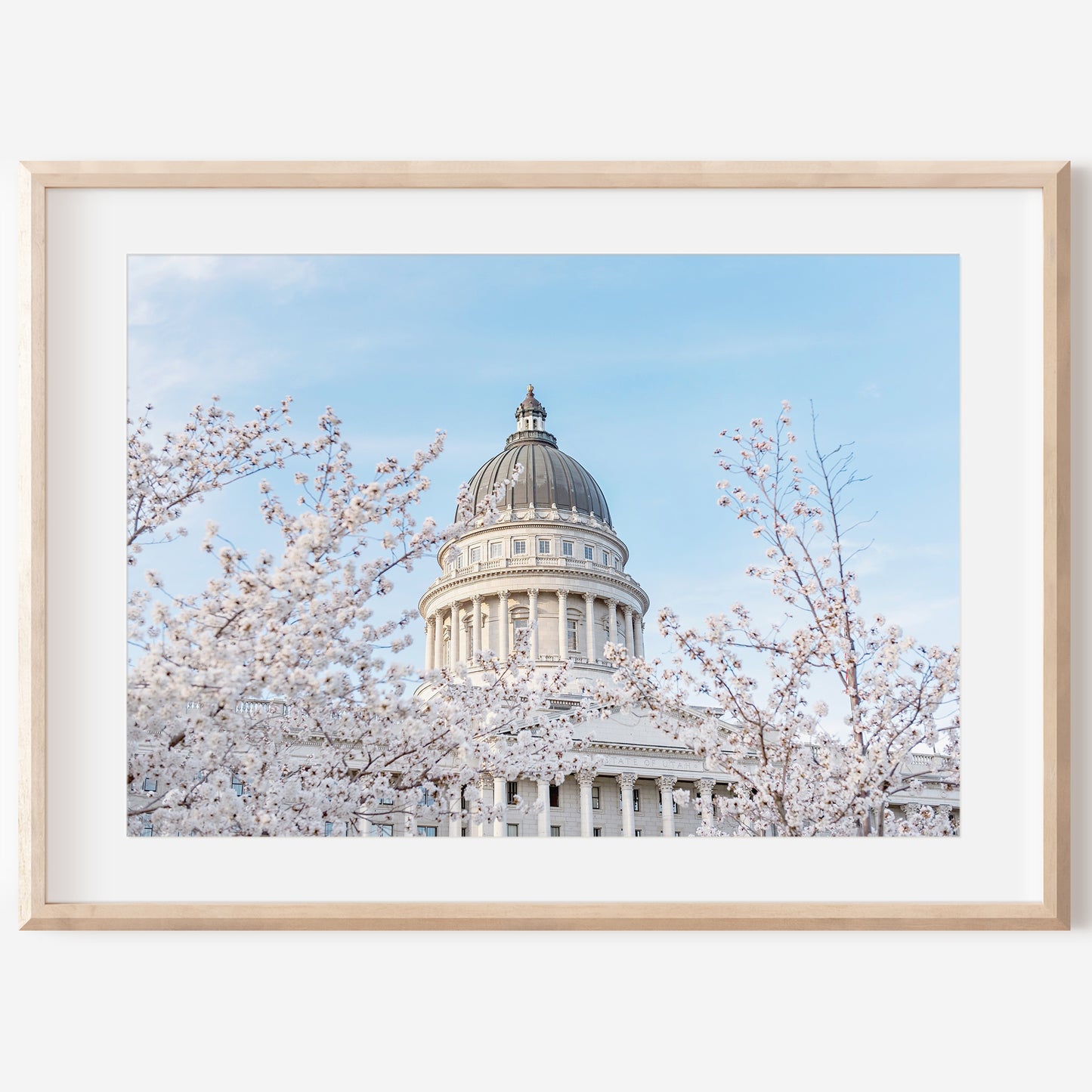 Utah Capital Canvas | Utah Capitol Spring Canvas | 17 Mile