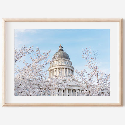 Utah Capital Canvas | Utah Capitol Spring Canvas | 17 Mile