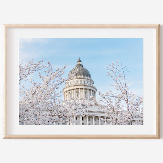 Utah Capital Canvas | Utah Capitol Spring Canvas | 17 Mile
