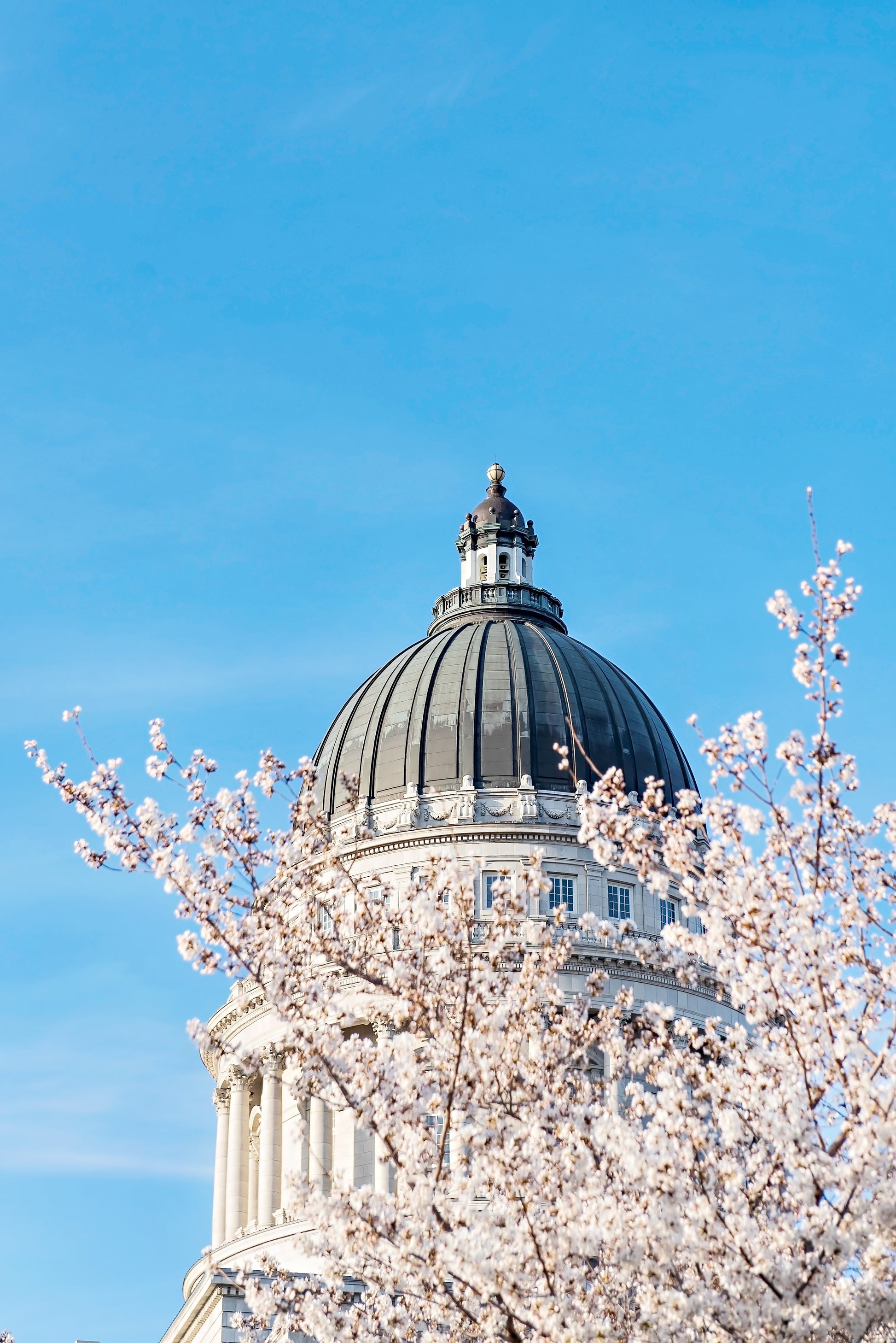 Utah Capitol Canvas | Utah Capitol Print | 17 Mile
