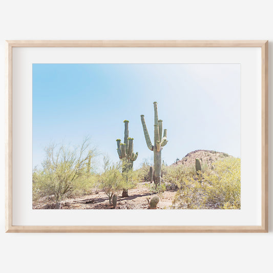 Desert Landscape Print | Wall Decor Canvas | 17 Mile