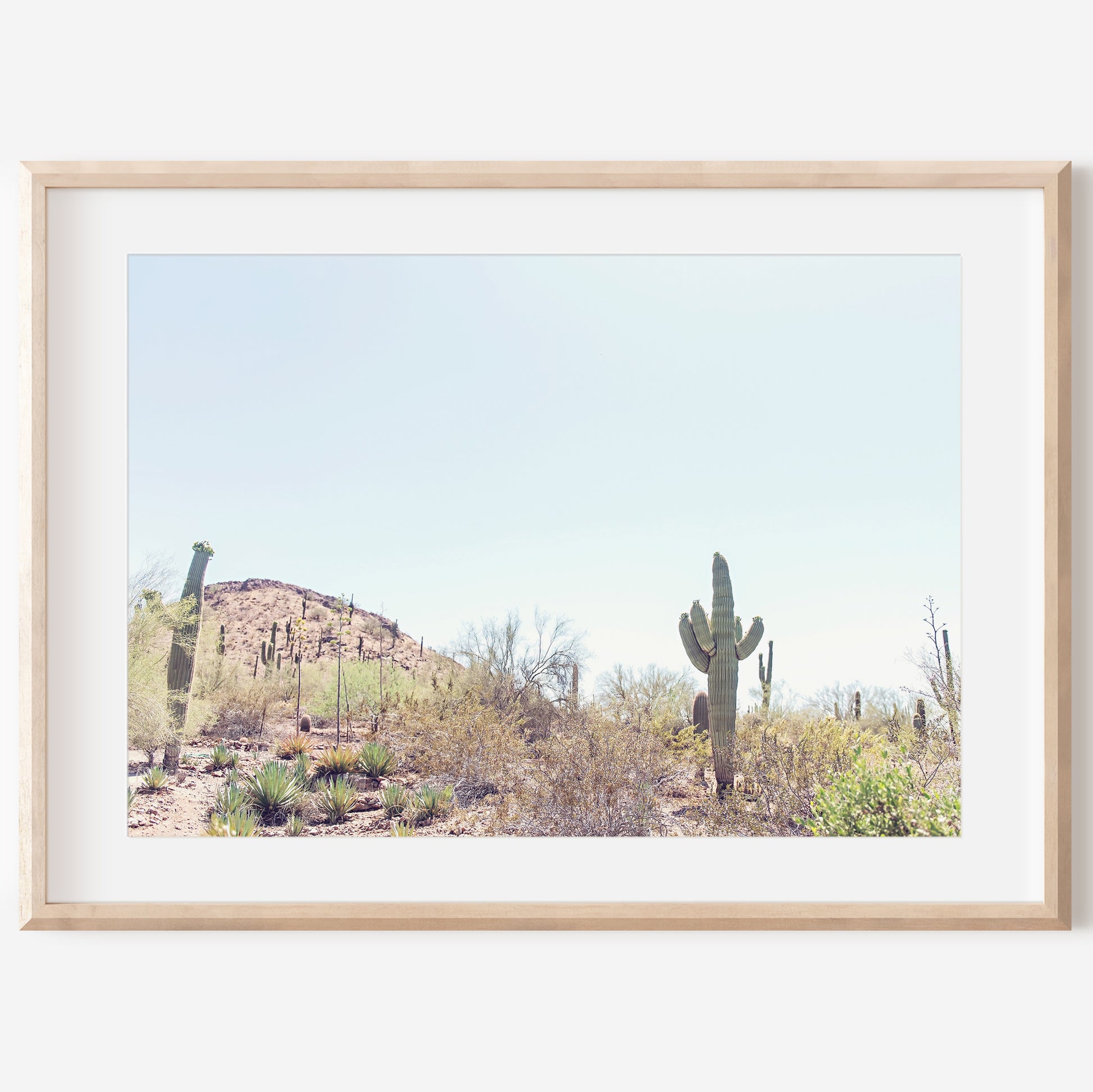 Desert Landscape Canvas | Desert Wall Art | 17 Mile