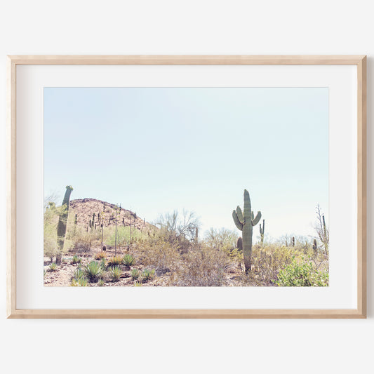 Desert Landscape Canvas | Desert Wall Art | 17 Mile