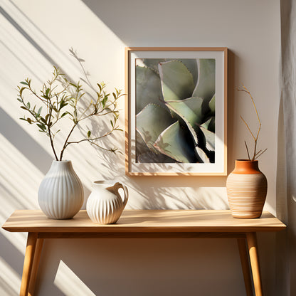 Desert Succulent Canvas | Desert Succulent Print | 17 Mile