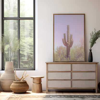 Pastel Saguaro Canvas | Pastel Saguaro Print | 17 Mile