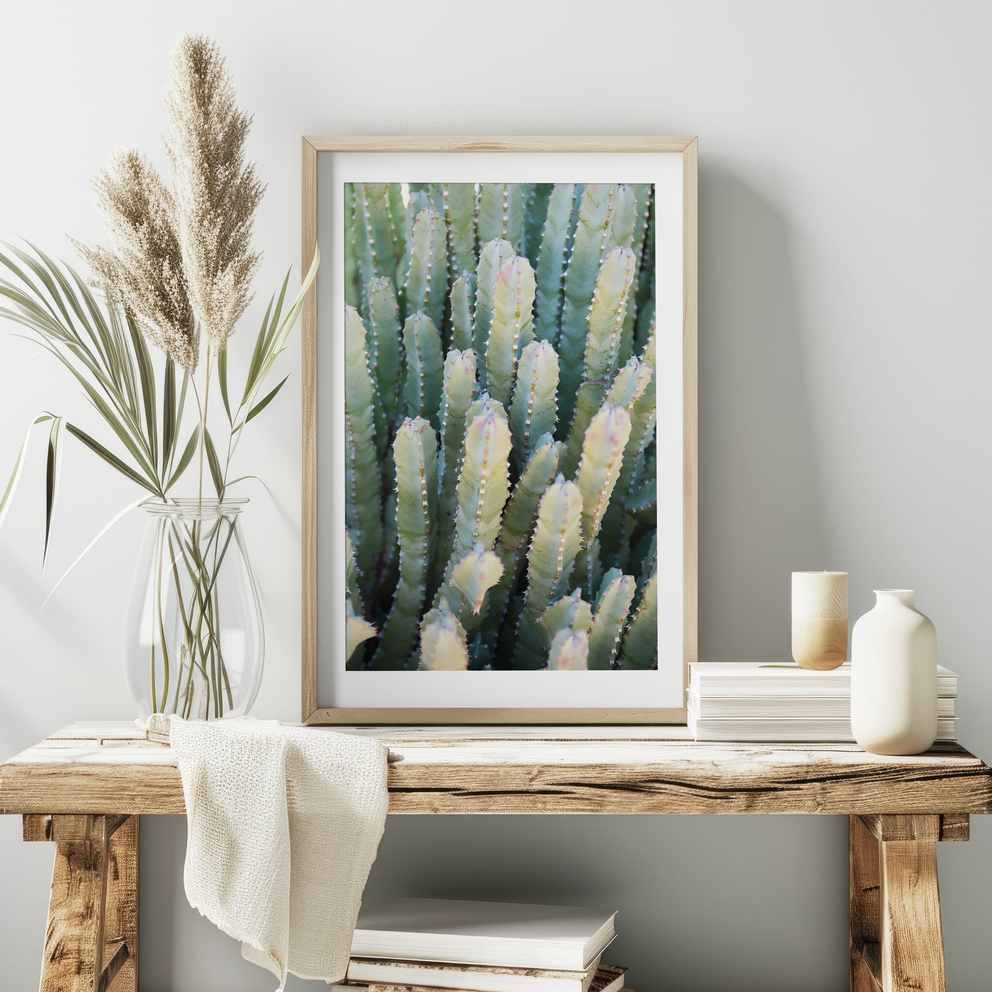 Desert Succulent Print | Desert Succulent Canvas | 17 Mile