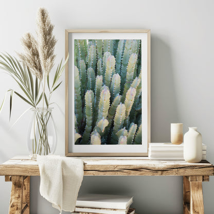 Desert Succulent Print | Desert Succulent Canvas | 17 Mile