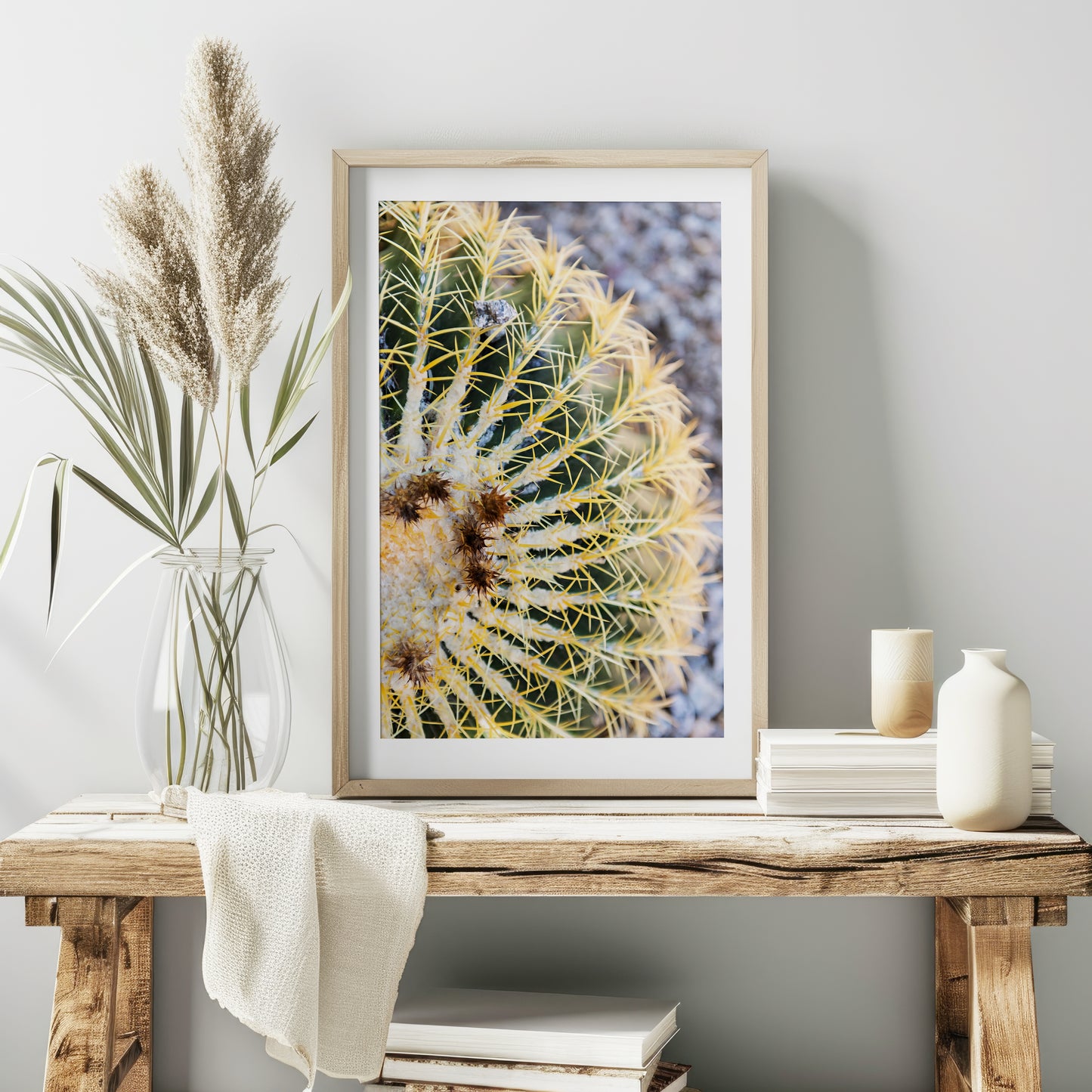 Barrel Cactus Print | Golden Barrel Cactus Print | 17 Mile