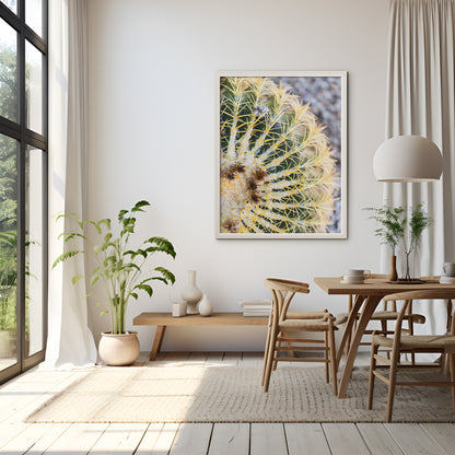 Barrel Cactus Print | Golden Barrel Cactus Print | 17 Mile