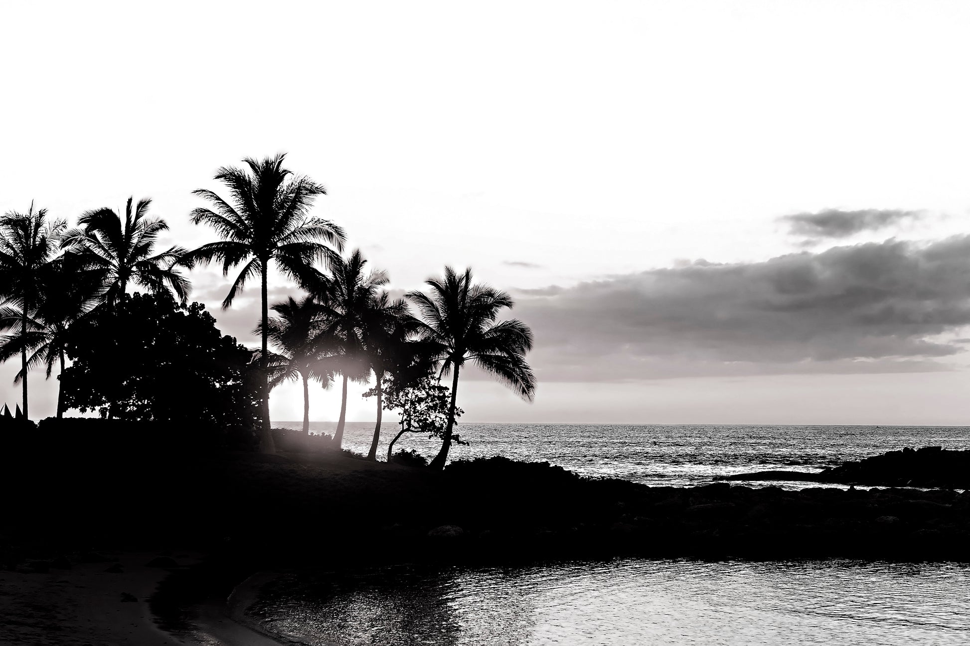 Hawaii Canvas Art | Palm Tree Canvas | 17 Mile