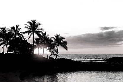Hawaii Canvas Art | Palm Tree Canvas | 17 Mile