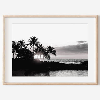 Hawaii Canvas Art | Palm Tree Canvas | 17 Mile