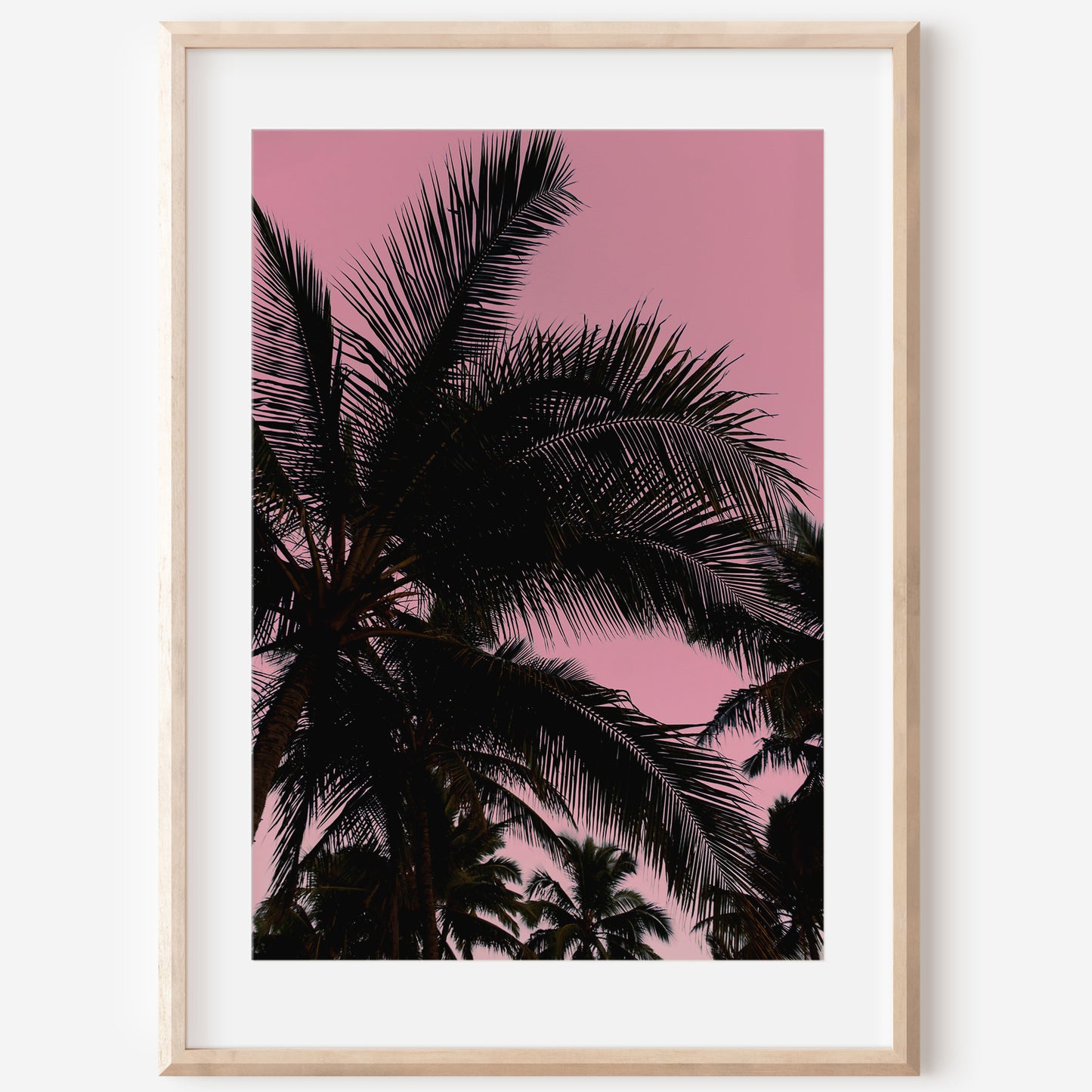 Palm Leaves Print | Palm Leaves Canvas | 17 Mile