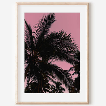 Palm Leaves Print | Palm Leaves Canvas | 17 Mile