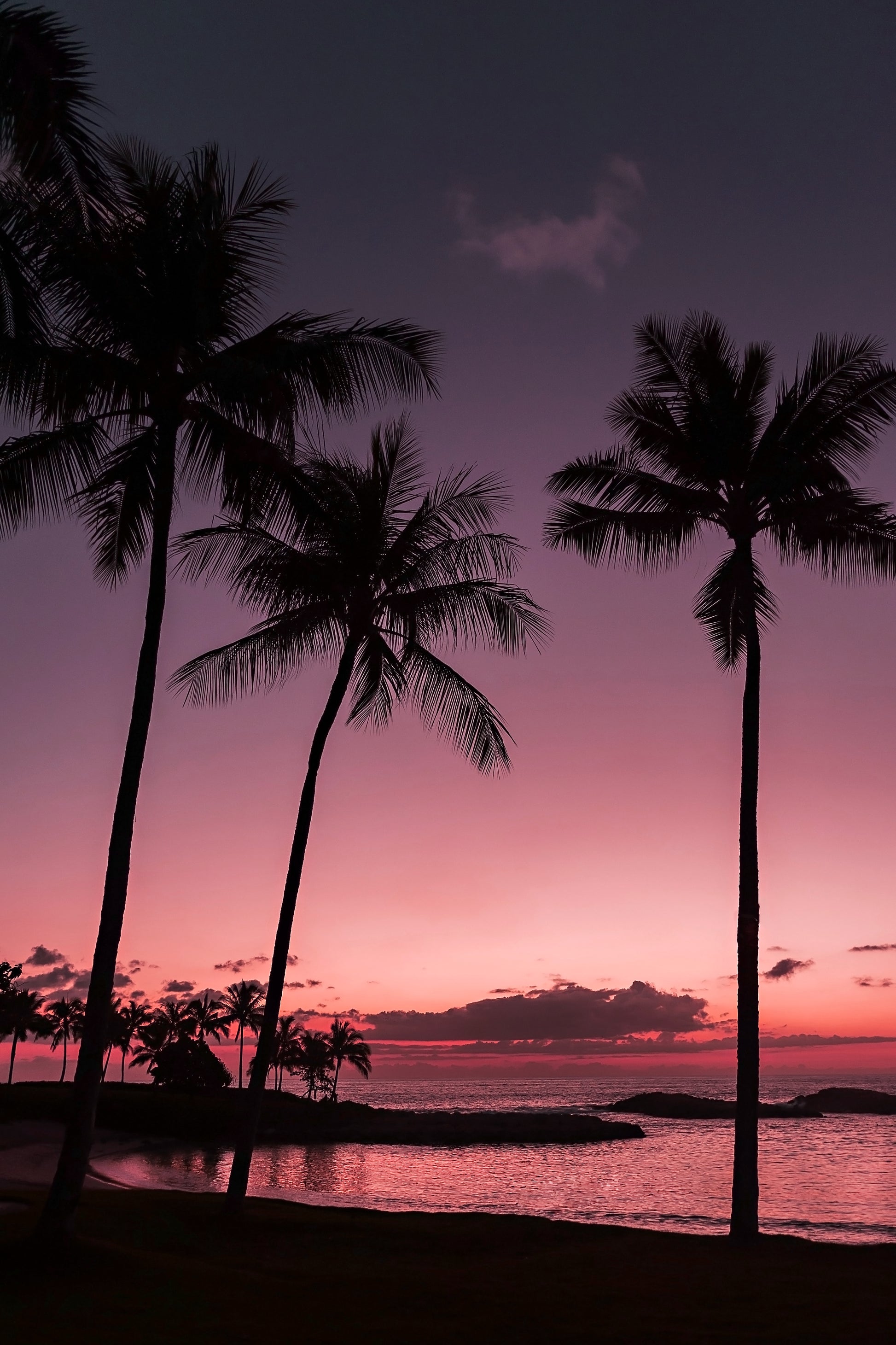 Tropical Sunset Canvas | Hawaiian Sunset Print | 17 Mile